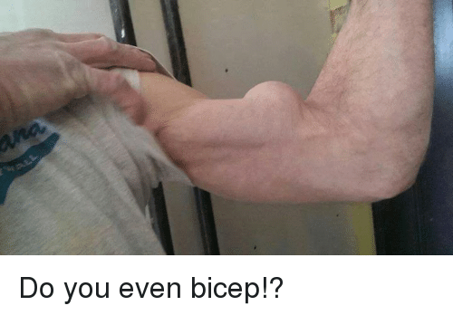 do-you-even-bicep-16810472.png